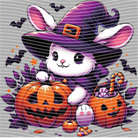Halloween-WS 5725